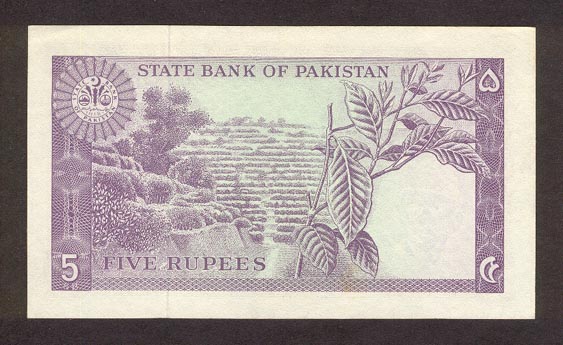 Обратная сторона банкноты Пакистана номиналом 5 Рупий
