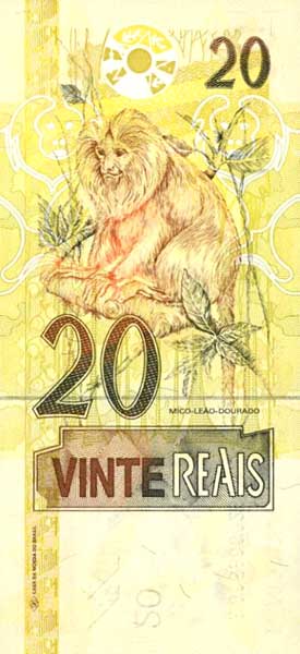      20 