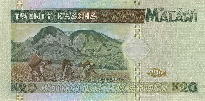      20 