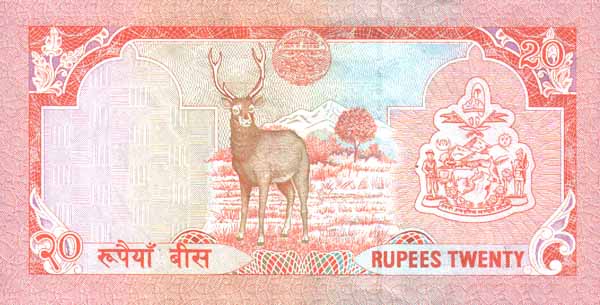      20 