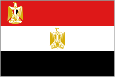 Президентский флаг Египта