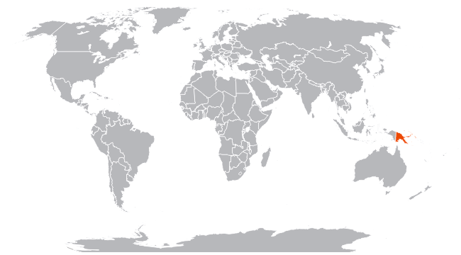 Папуа-Новая Гвинея на карте мира