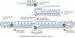Схема аэропорта Детройта