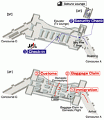 Схема терминалов авиакомпании JAL аэропорта Сан-Франциско